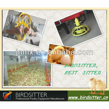 superior quality broiler raise poultry farm control shed